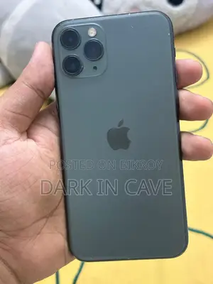 অ্যাপল আইফোন ১১ ২৫৬ জিবি গ্রিন