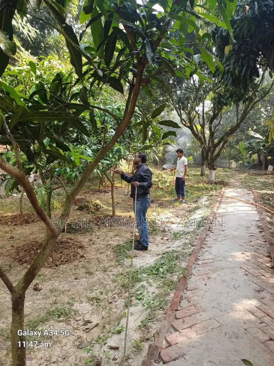 Land With Garden (Land With Garden)