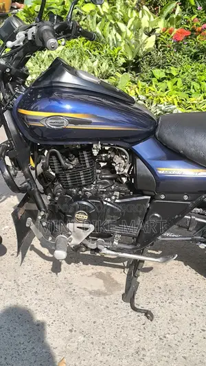 Bajaj Avenger 150 Street 2017 Blue