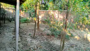 Land With Garden (Land With Garden)
