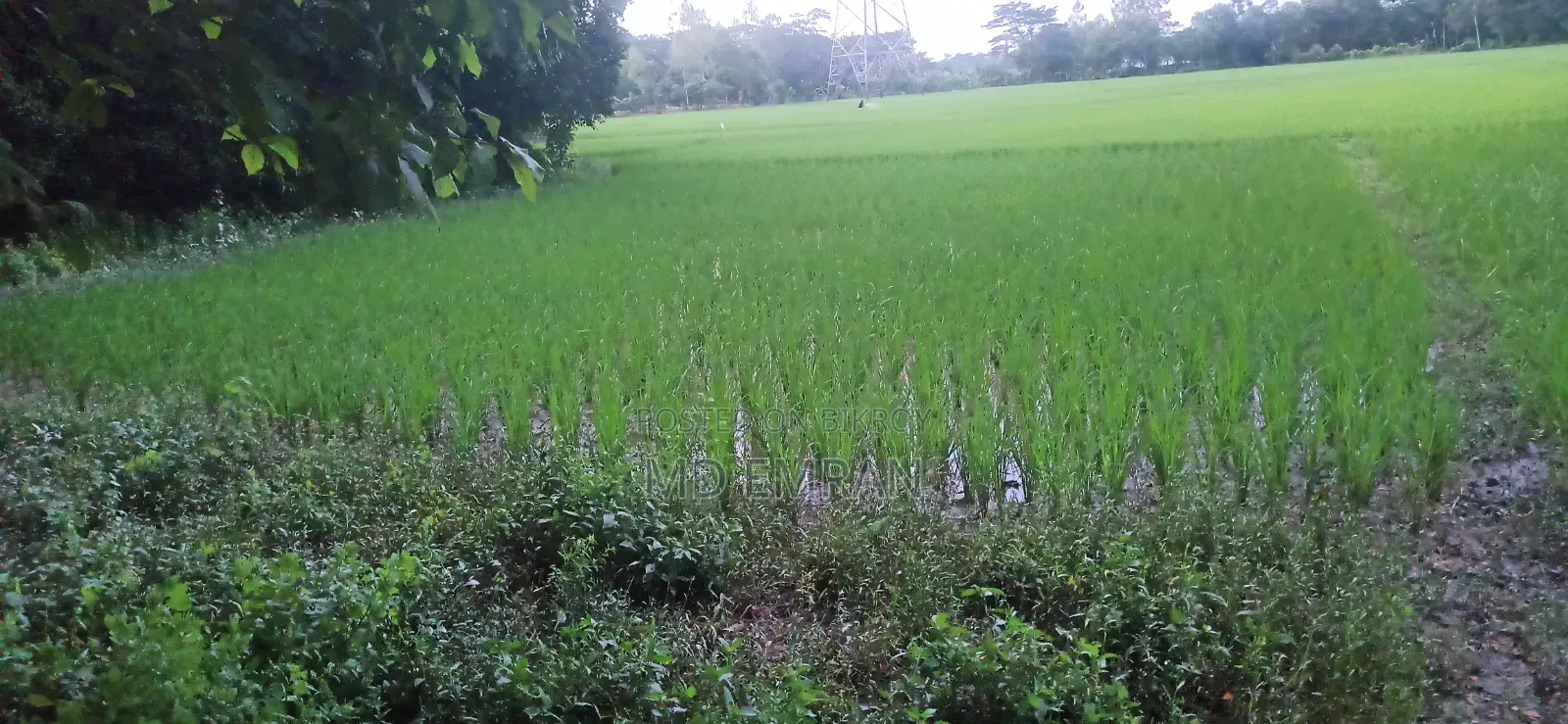 জায়গা বিক্রি
