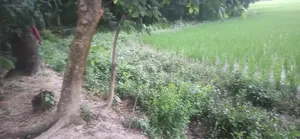 জায়গা বিক্রি