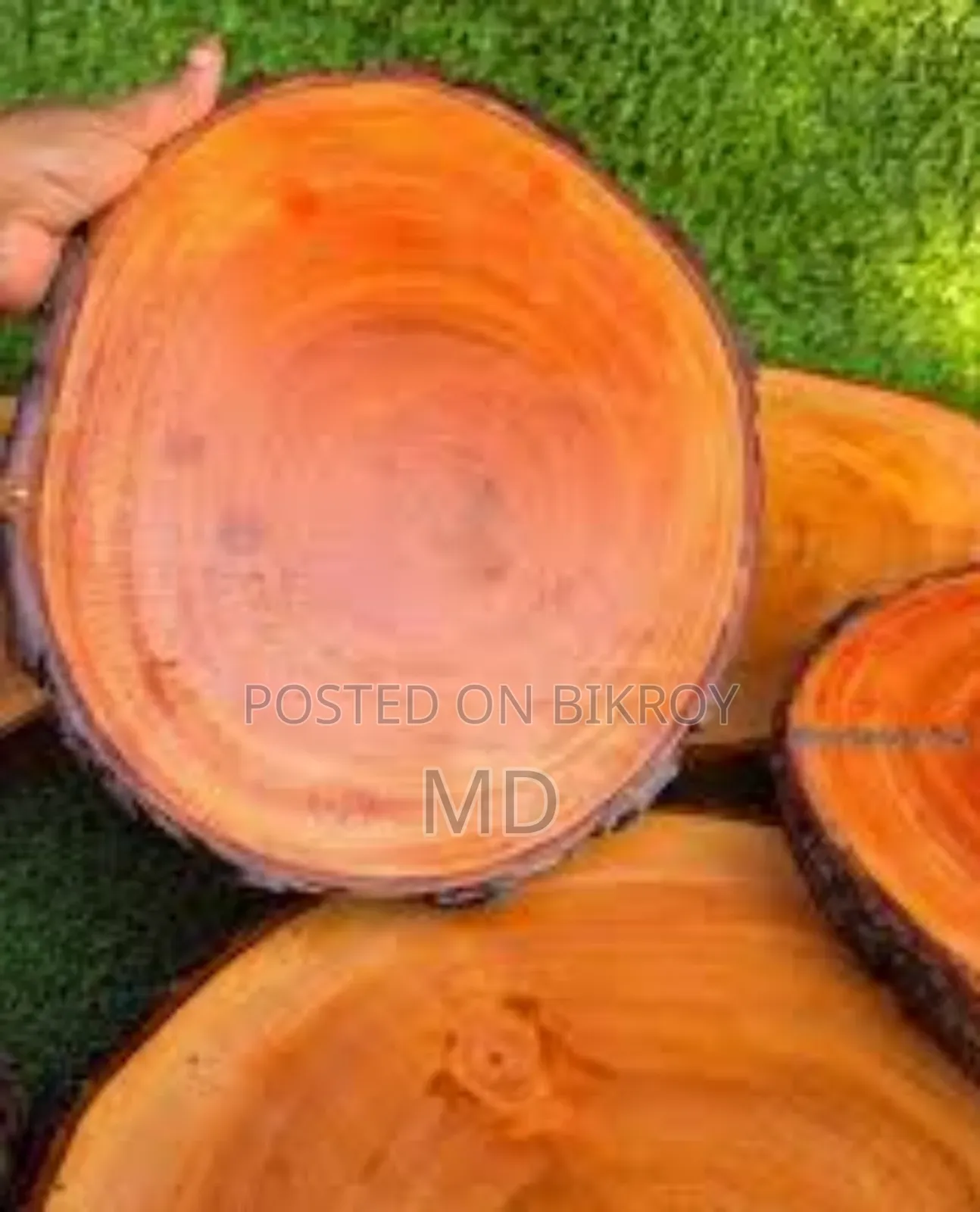 Natural Wood Slices (14 Inch)