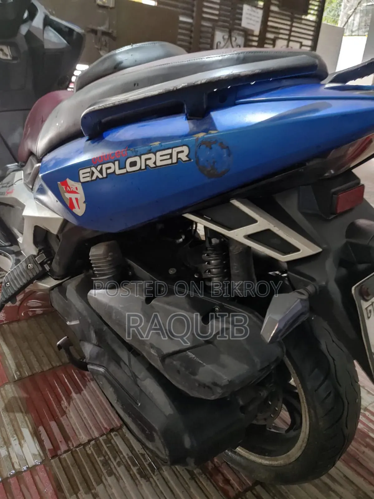 Taro TR300T 2023 Green