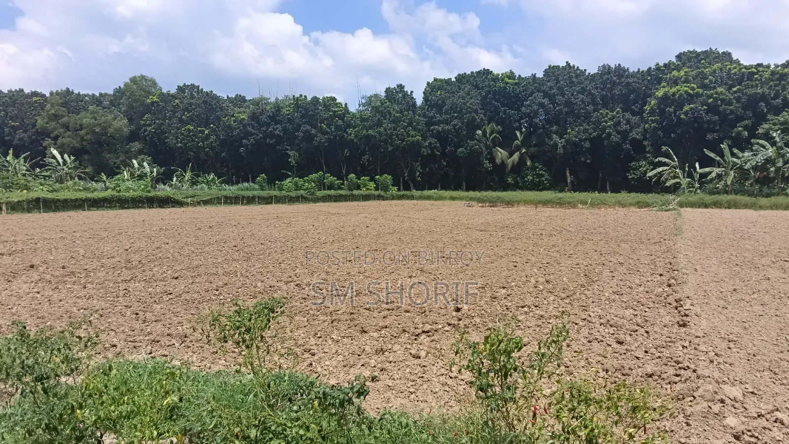 Perfect Land for Year-Round Crop Cultivation and Farming