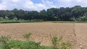 Perfect Land for Year-Round Crop Cultivation and Farming