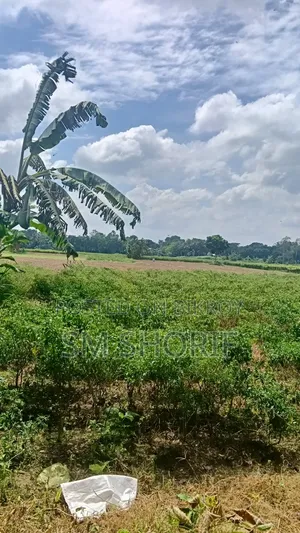 Perfect Land for Year-Round Crop Cultivation and Farming
