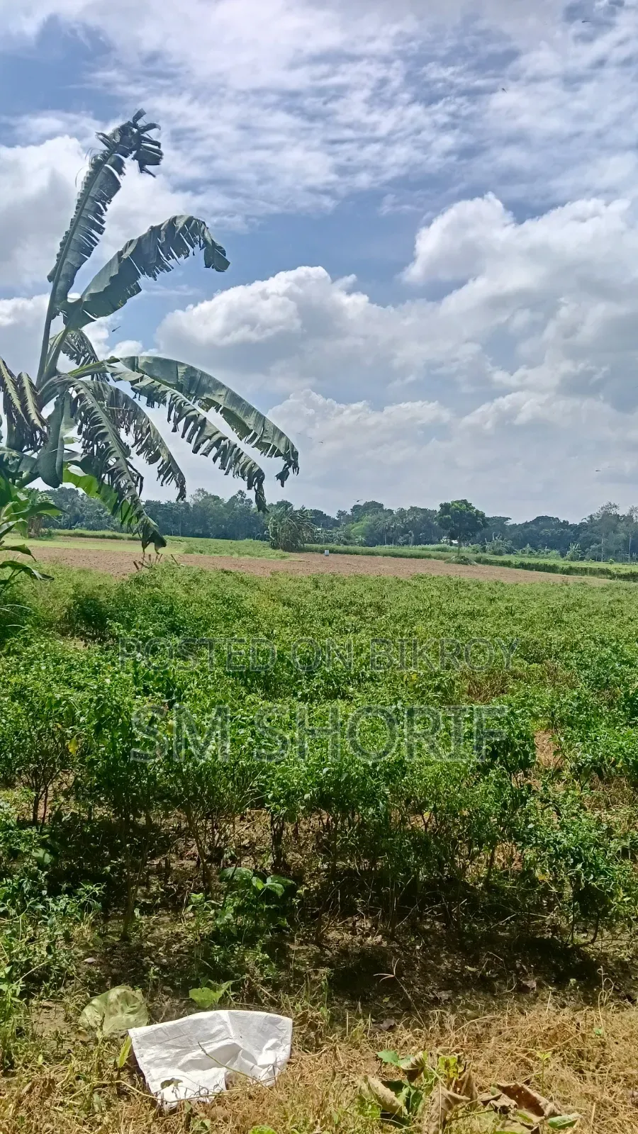 Perfect Land for Year-Round Crop Cultivation and Farming