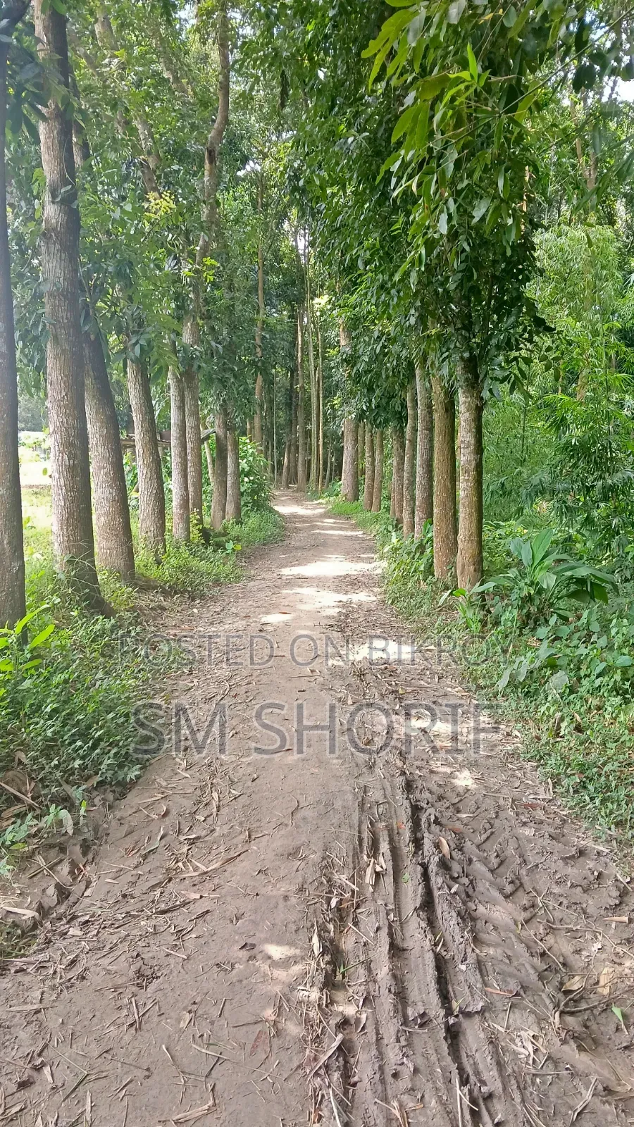 Perfect Land for Year-Round Crop Cultivation and Farming