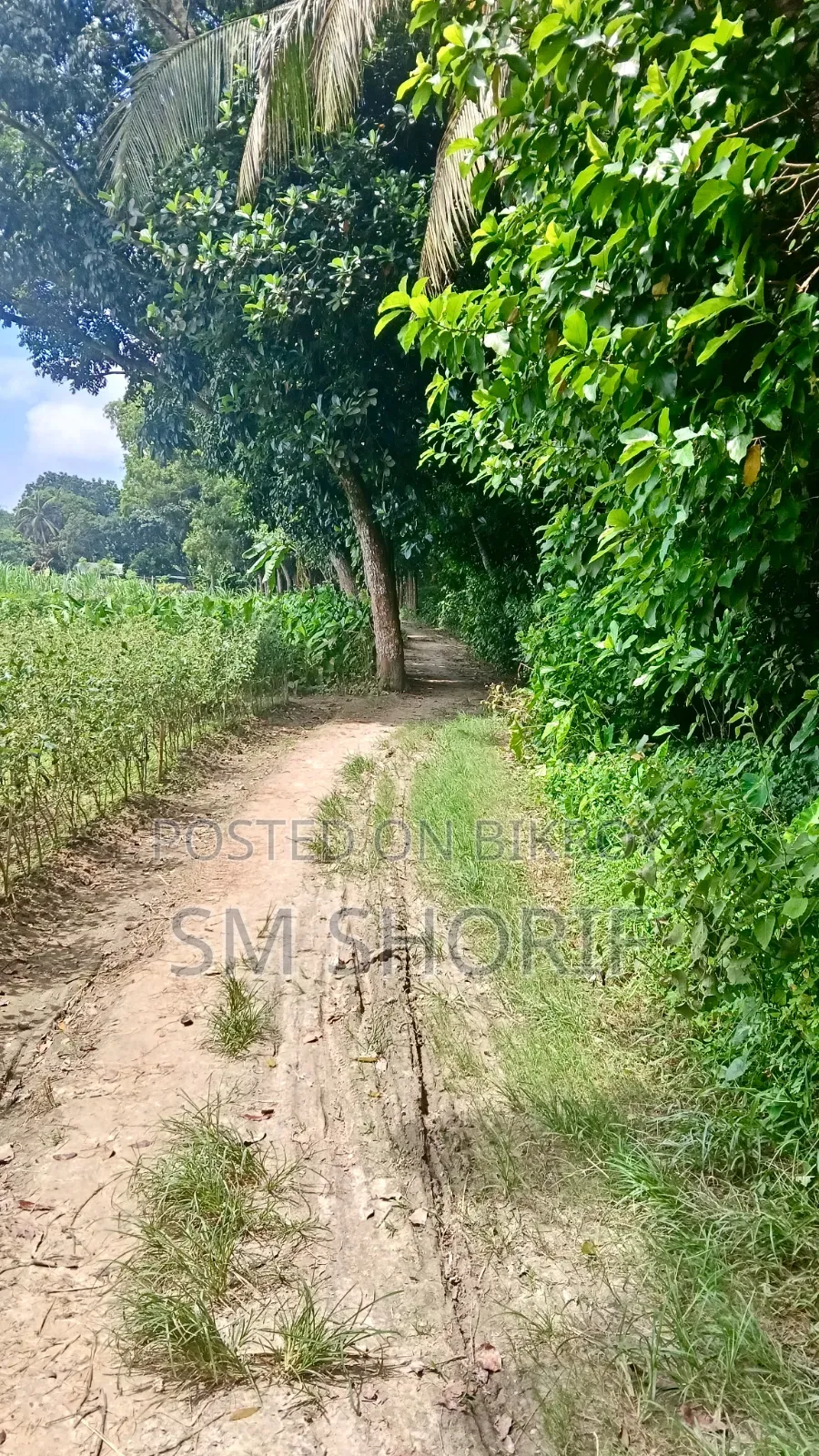 Perfect Land for Year-Round Crop Cultivation and Farming