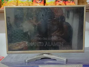 The TV is fine, only the panel has a problem, otherwise everything is fine