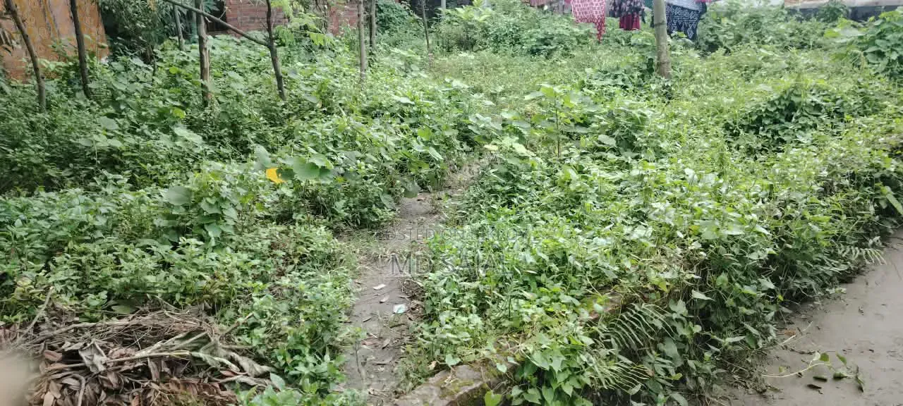 5 decimals of land for sale in a densely populated area at Kaliakair Mouchak