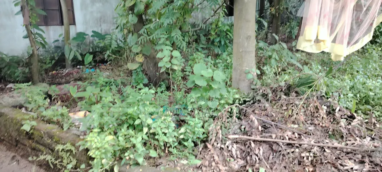 5 decimals of land for sale in a densely populated area at Kaliakair Mouchak