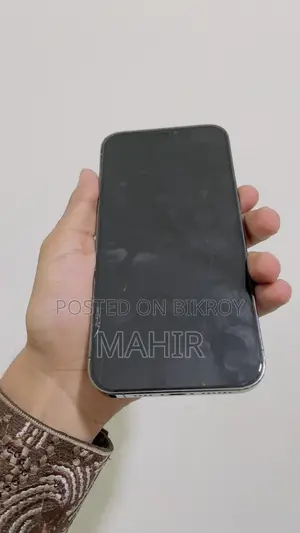 অ্যাপল আইফোন ১২ প্রো ম্যাক্স ২৫৬ জিবি গ্রাফাইট