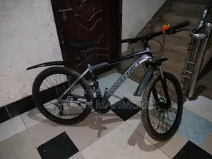 বাই সাইকেল