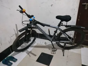 বাই সাইকেল