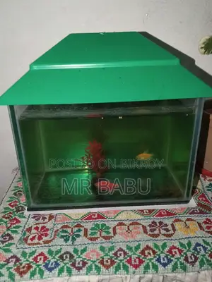 Aquarium Sale 6'/9'