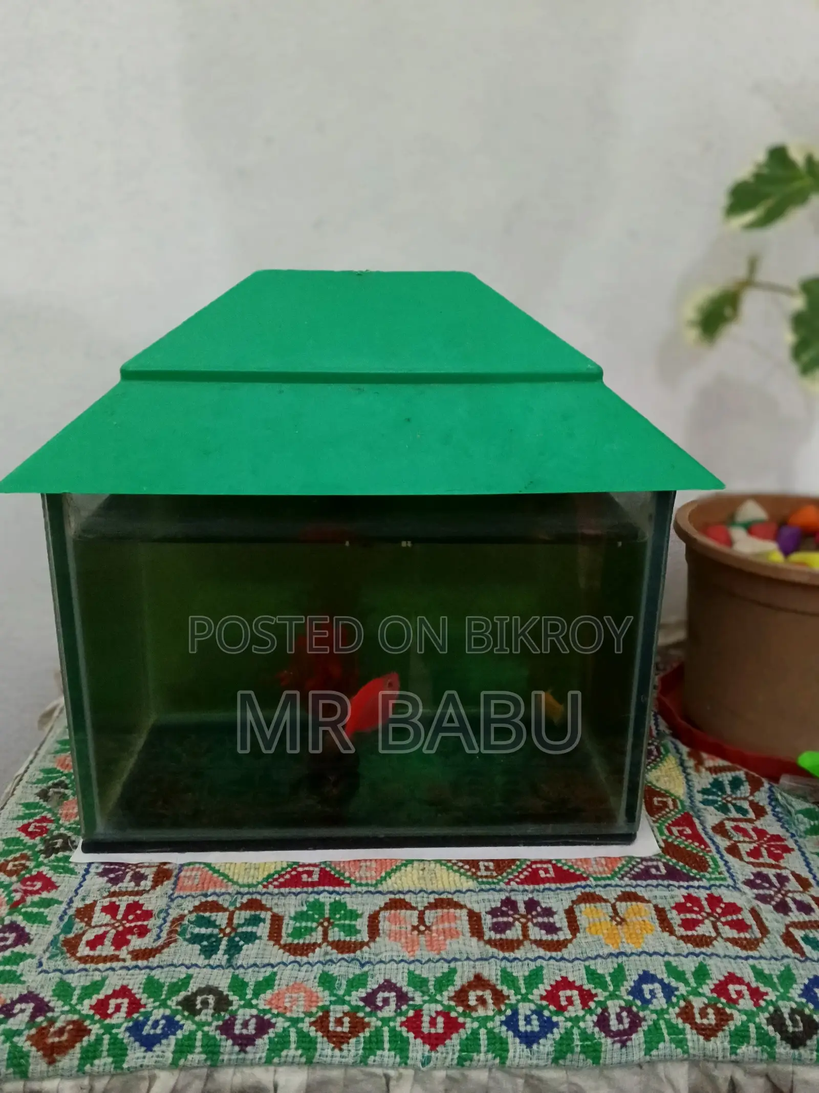Aquarium Sale 6'/9'