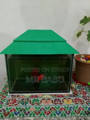 Aquarium Sale 6'/9'