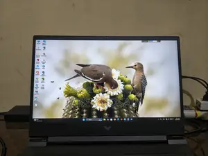 ল্যাপটপ এইচপি ১৫ ১৬জিবি এএমডি রাইজেন ৭ এসএসডি ৫১২জিবি