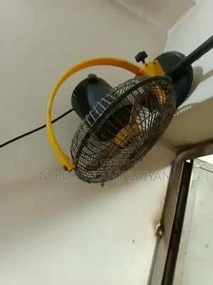 ভিক্টর ফ্যান