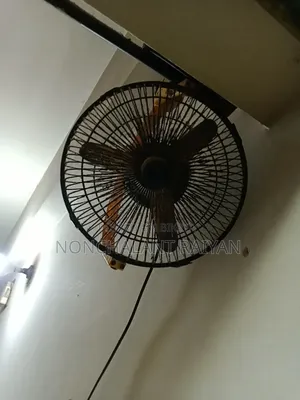 ভিক্টর ফ্যান