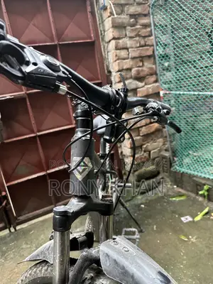 Express Stand Cycle