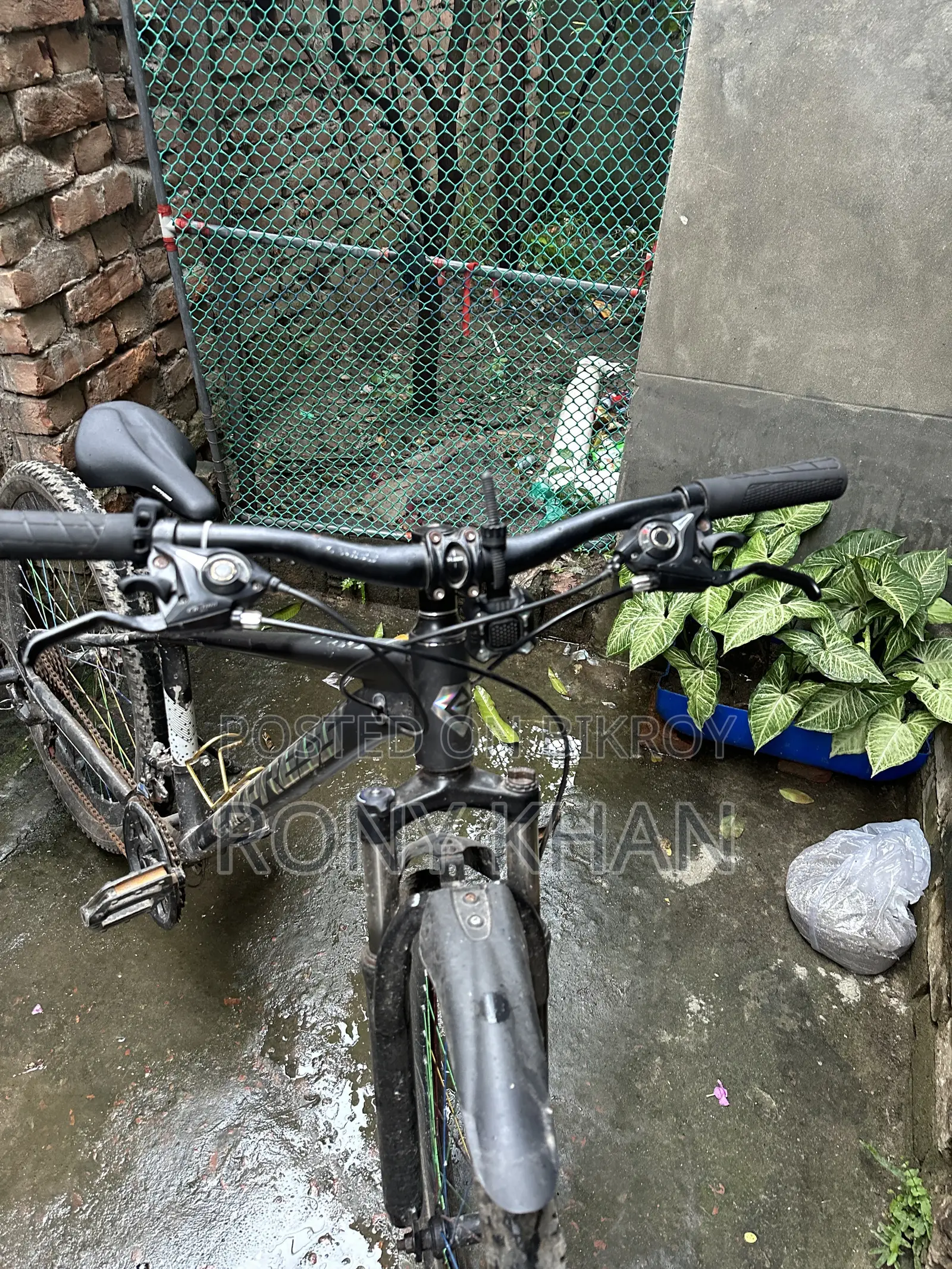 Express Stand Cycle