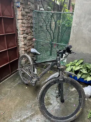 Express Stand Cycle