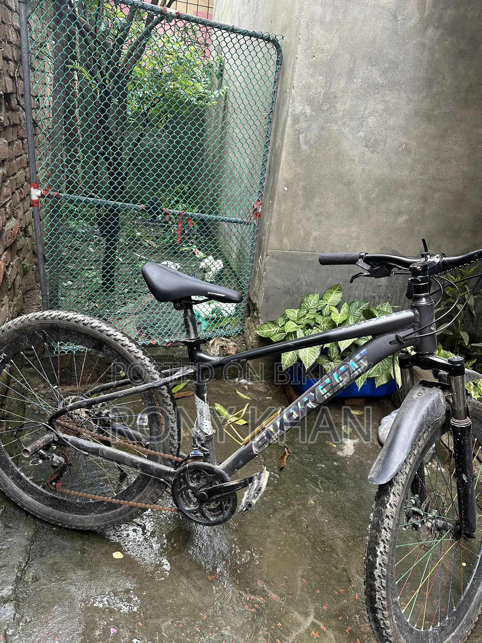 Express Stand Cycle
