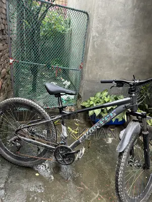 Express Stand Cycle