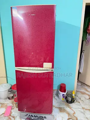 জরুরি বিক্রয়ের জন্য যমুনা ফ্রিজ