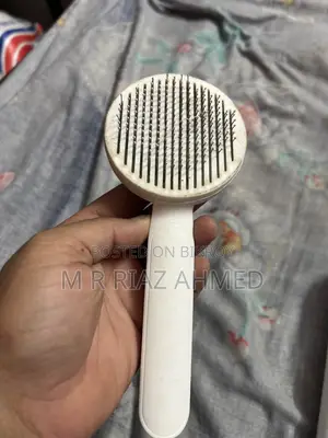 বিড়ালের আনুষঙ্গিক সামগ্রী