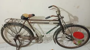 Phoenix Cycle