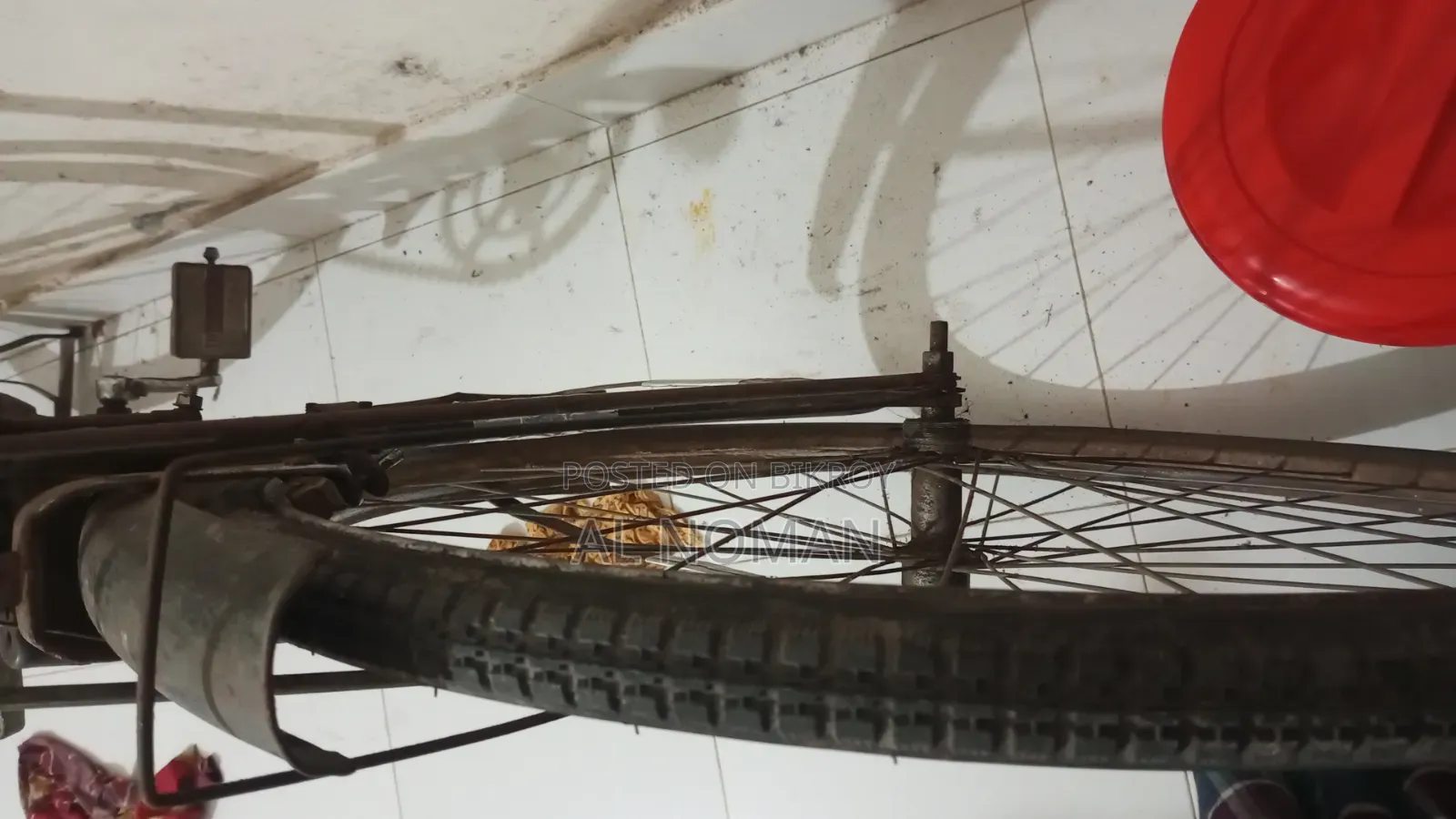 Phoenix Cycle