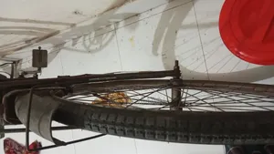 Phoenix Cycle