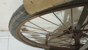 Phoenix Cycle