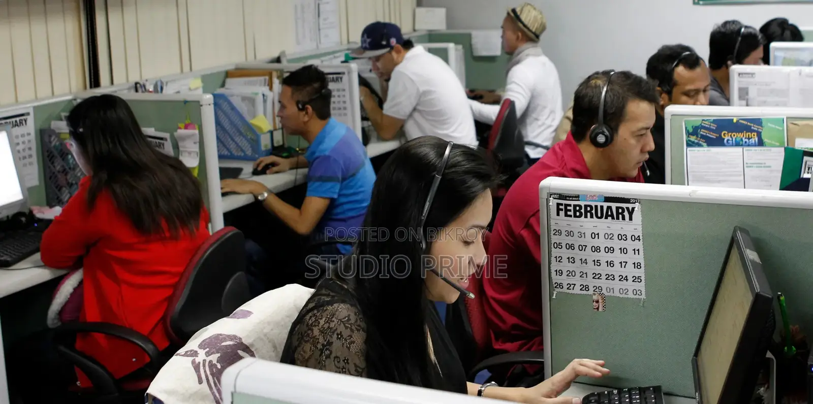 Telemarketing and Customer Executive