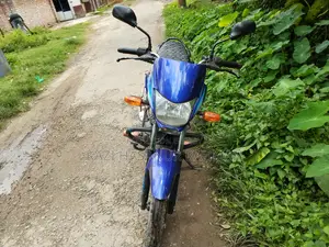 Bajaj Platina 110 ES 2020 Blue