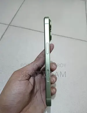 অ্যাপল আইফোন ১৭ ২৫৬ জিবি গ্রিন