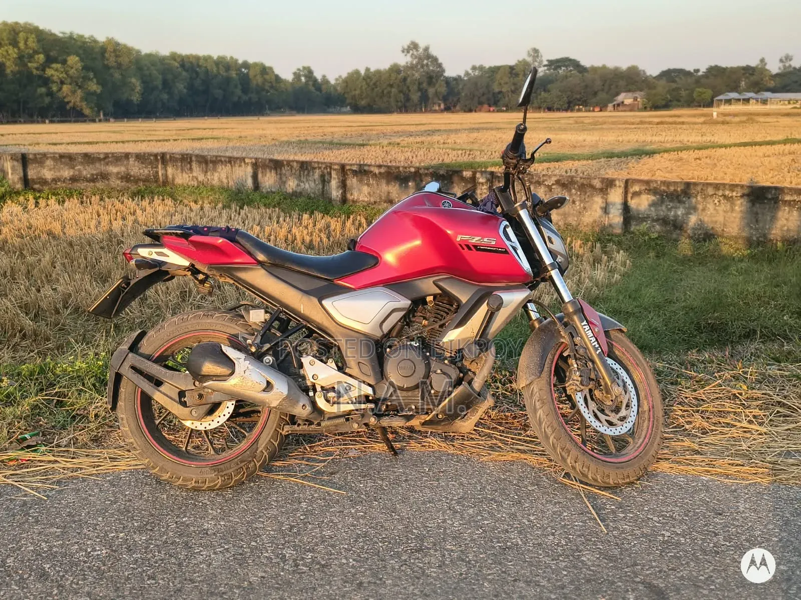 Yamaha FZS V3 2022 Red