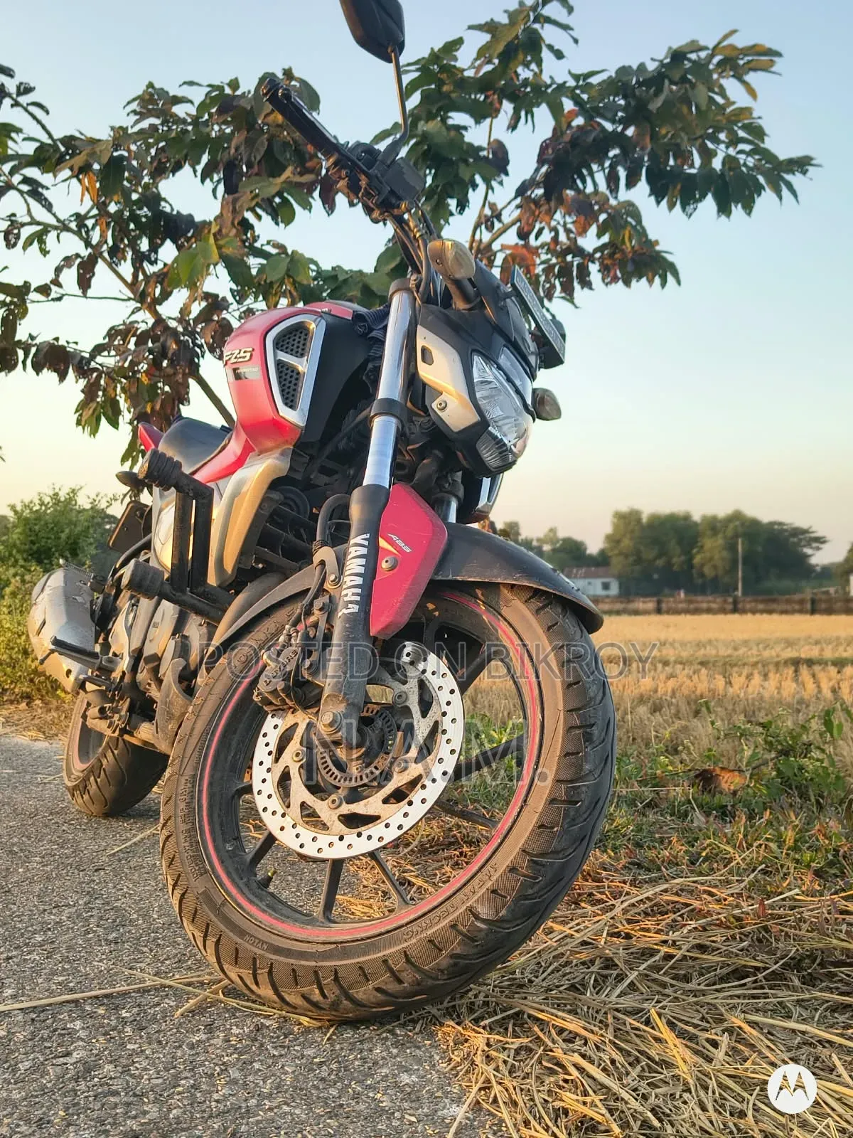 Yamaha FZS V3 2022 Red