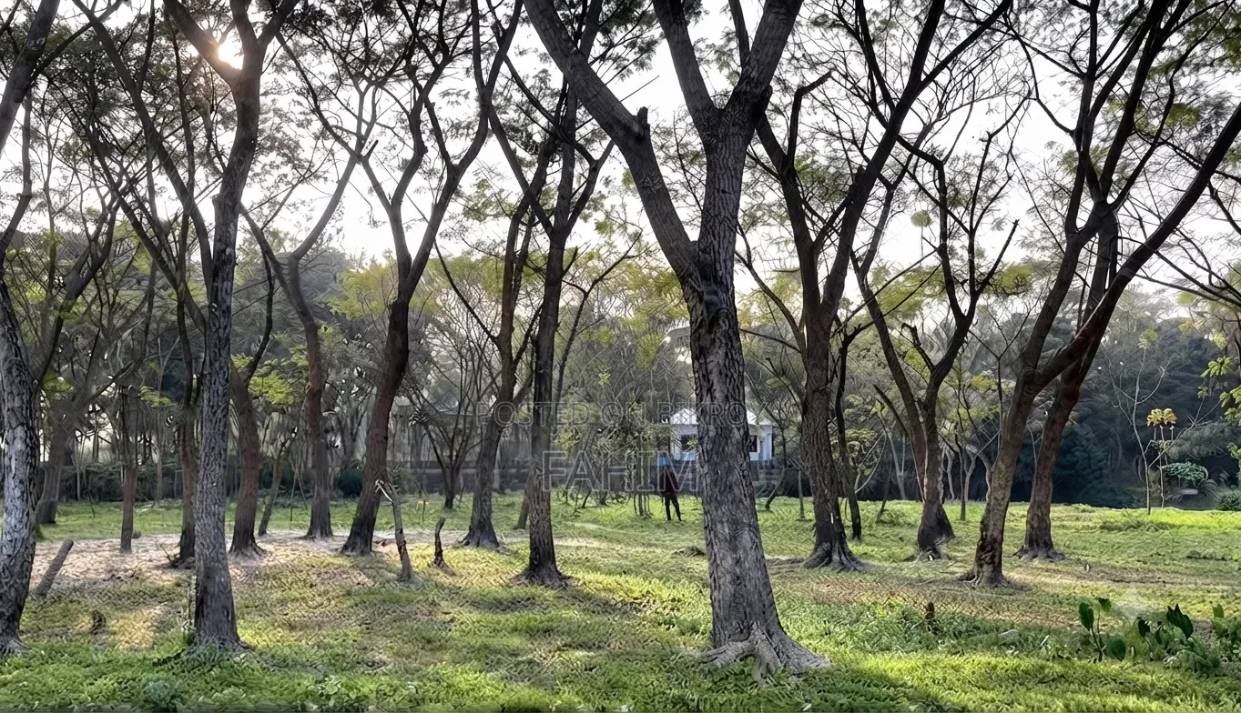 Roadside Land.