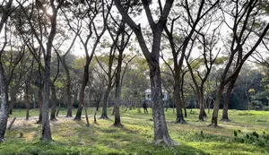 Roadside Land.