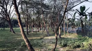 Roadside Land.