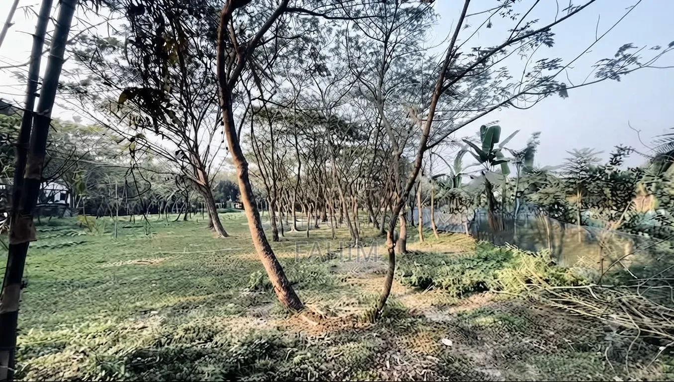 Roadside Land.