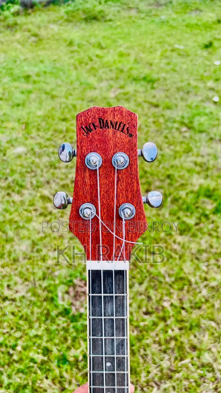 Ukuleles Guitar