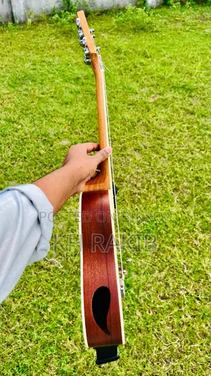 Ukuleles Guitar