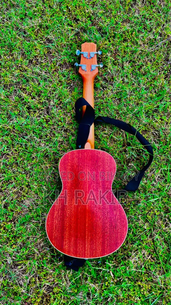 Ukuleles Guitar