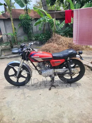 হোন্ডা সিজি১১০ ২০১০ লাল